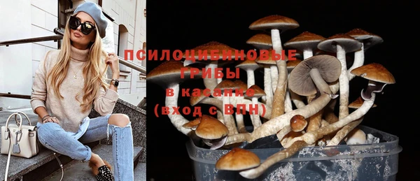 дмт Осташков