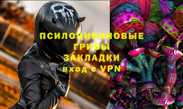 дмт Осташков