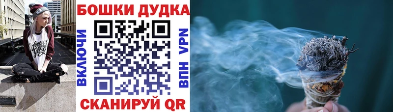 Конопля сатива  наркошоп  Кедровый 
